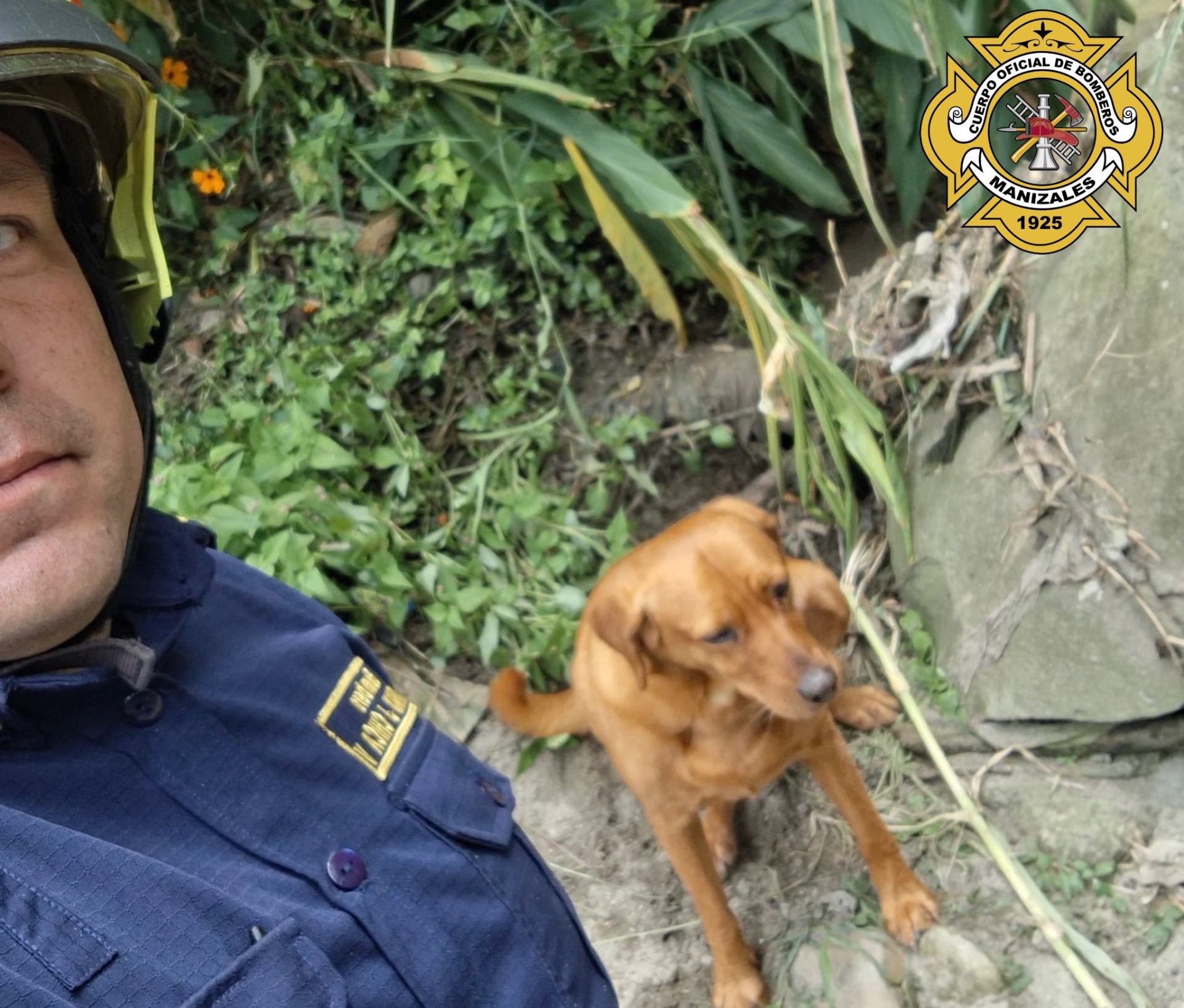 Foto tomada de: Cuerpo Oficial de Bomberos Manizales