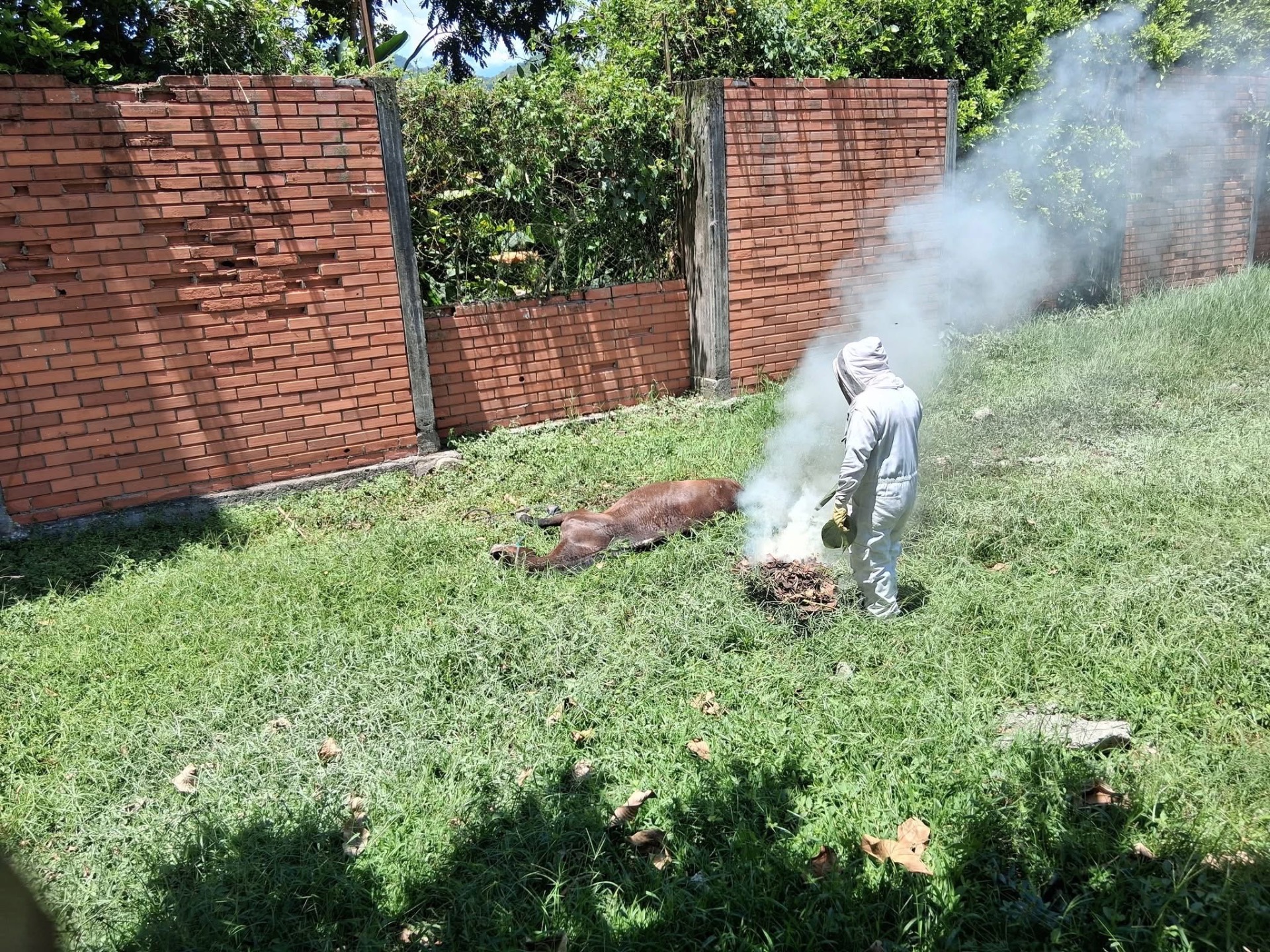 Foto: Cuerpo de Bomberos Voluntarios de Supía
